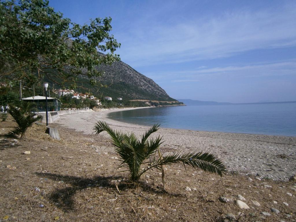 Petros Studios Poros  Exterior foto